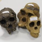 09 Novembre : Réunion mensuelle