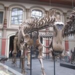 16-19 Juin : Voyage à  Berlin