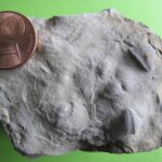 21 Février 2016 : Réunion mensuelle avec exposé de Jean Marie Guégan