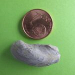 21 Février 2016 : Réunion mensuelle avec exposé de Jean Marie Guégan