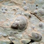 21 Février 2016 : Réunion mensuelle avec exposé de Jean Marie Guégan