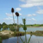 16 Juin : Excursion dans Cotentin : 1. fouilles dans la carrière de 50310 Fresville, à l&rsquo;invitation du Club géologique du Cotentin, et 2. visite du site archéologique du Rozel, avec Dominique Cliquet (DRAC, Caen)