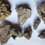 18 Avril : Sortie à Villerville