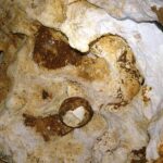 08 Septembre : Sortie aux Petites-Dalles (76450 Saint-Martin aux Buneaux); visite d&rsquo;une grotte, puis fouilles le long de la falaise et sur l&rsquo;estran a 76540 Saint-Pierre-en-Port