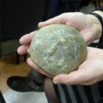 26 Novembre : Réunion mensuelle