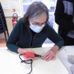 11 Décembre : Séance de détermination et nettoyage de fossiles