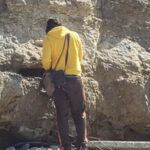 16 Avril :  Sortie à Villerville (Oxfordien et Kimméridgien), dirigée par Alain Devillers