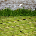 19 Juillet : Sortie de juillet