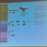 25 Janvier : Exposé mensuel par Éric Buffetaut, Paléontologue, Docteur ès sciences et Directeur de recherche au CNRS : « Caletodraco cottardi, le nouveau dinosaure du Crétacé de Normandie »