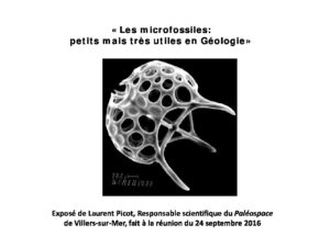 Conférence - «Les microfossiles: petits mais très utiles en Géologie»