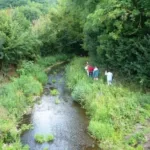 24 Juillet : Dimanche a Guichainville